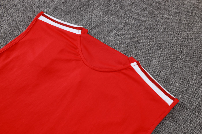 Internacional Training Jersey 26/27