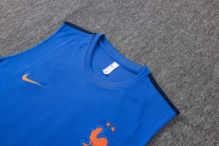 France Training Jersey 26/27