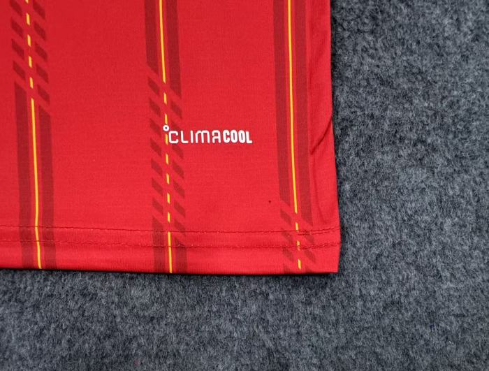 Spain 2026 World Cup Champions 26 Home Man Jersey (2 stars)
