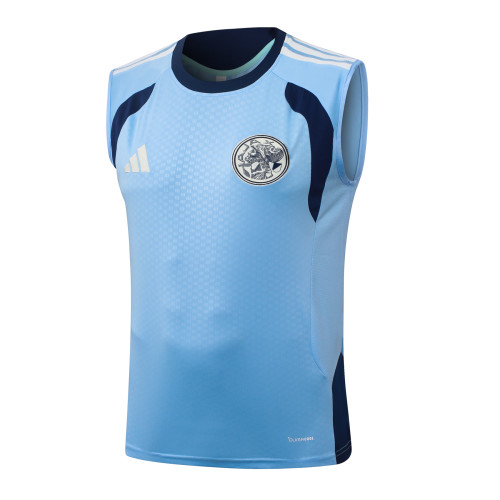 Ajax Training Jersey 26/27