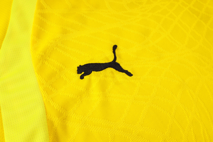 Borussia Dortmund Training Short sleeve Jersey 26/27