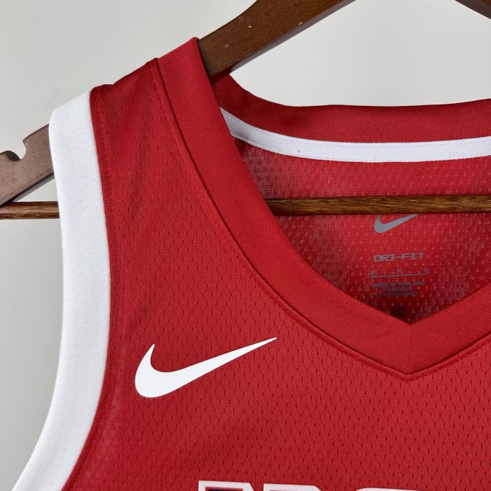 LeBron James Team USA 2024 Swingman Jersey Red