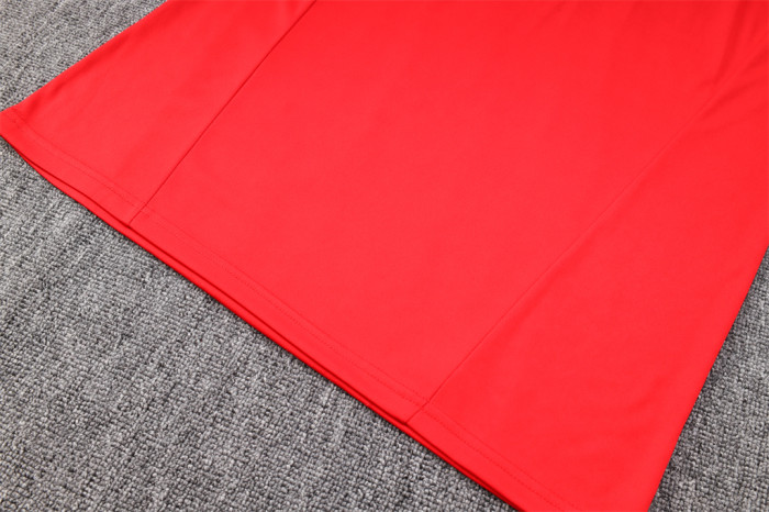 Flamengo POLO Jersey 23/24