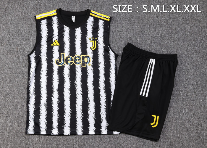 Juventus Training Jersey 23/24
