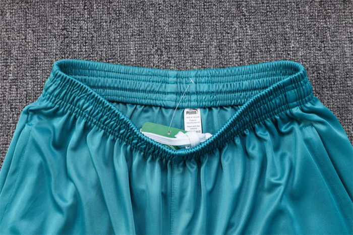 Palmeiras POLO Jersey 23/24