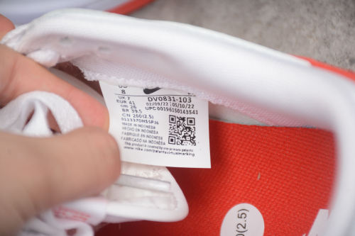 SB Dunk Low Retro White Picante Red Sneakers DV0831-103