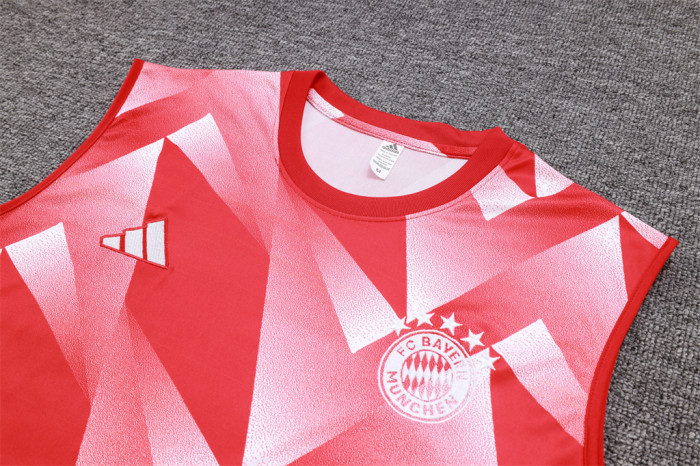 Bayern Munich Training Jersey 23/24