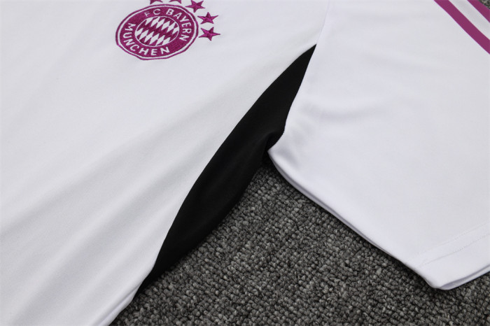 Bayern Munich Training Jersey 23/24
