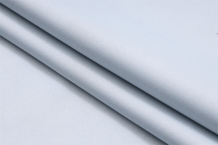 Palmeiras POLO Jersey 23/24