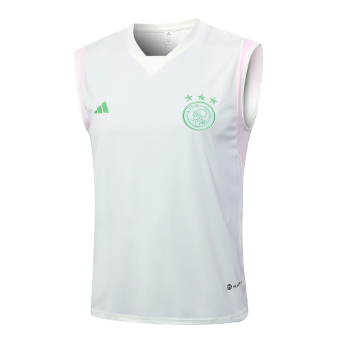 Ajax Training Jersey 23/24