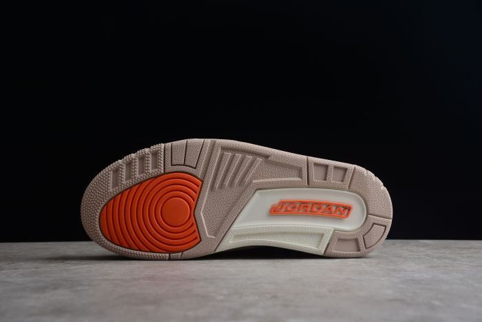 Air Jordan AJ3 Retro CT8532-008