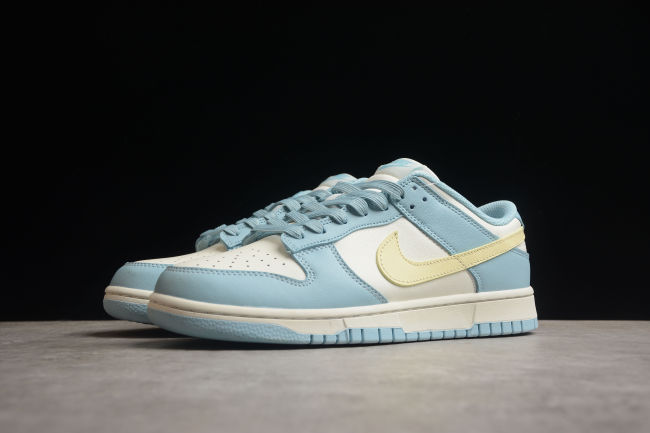 SB Dunk Low Ice Blue DD1503-123