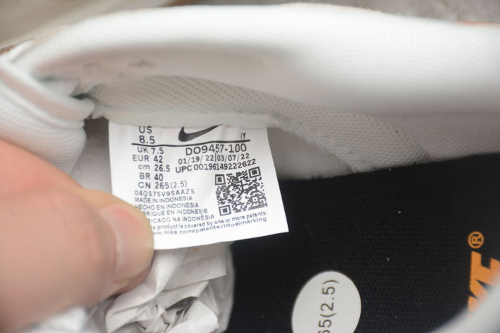 SB Dunk Low double layer swoosh hook DO9457 100