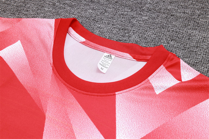 Bayern Munich Training Jersey 23/24