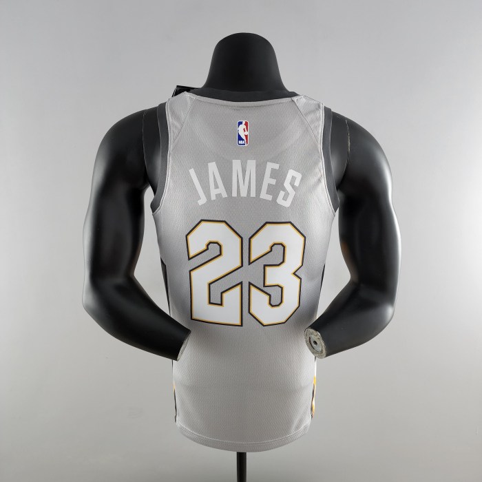 LeBron James Cleveland Cavaliers Grey Swingman Jersey 2018