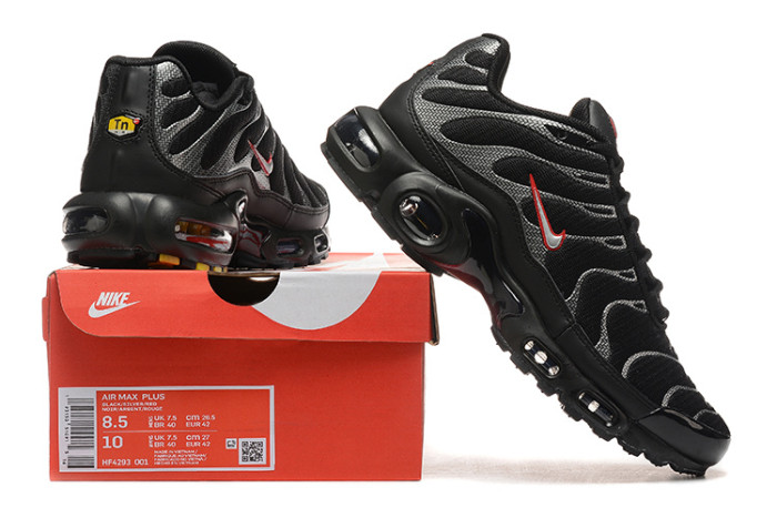 Nike Air Max Plus Black Silver HF4293-001