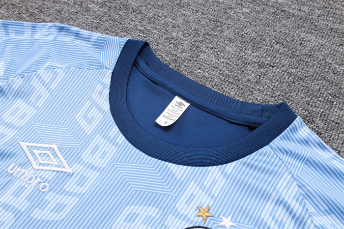 Gremio Training Jersey 23/24