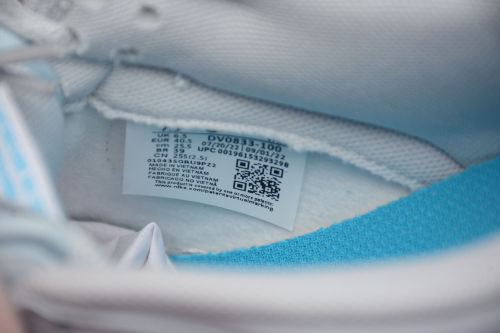 Air SB Dunk Low Light Bone Blue