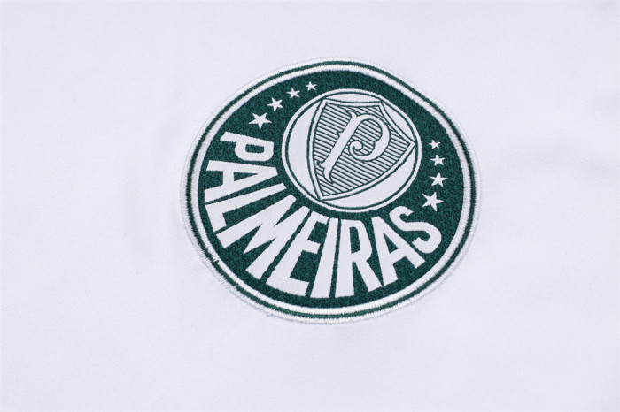 Palmeiras Training Jersey 23/24