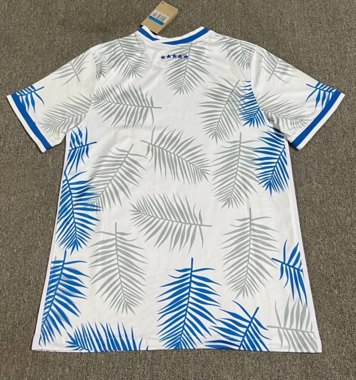 Brazil Special Edition Training Man Jersey 2025