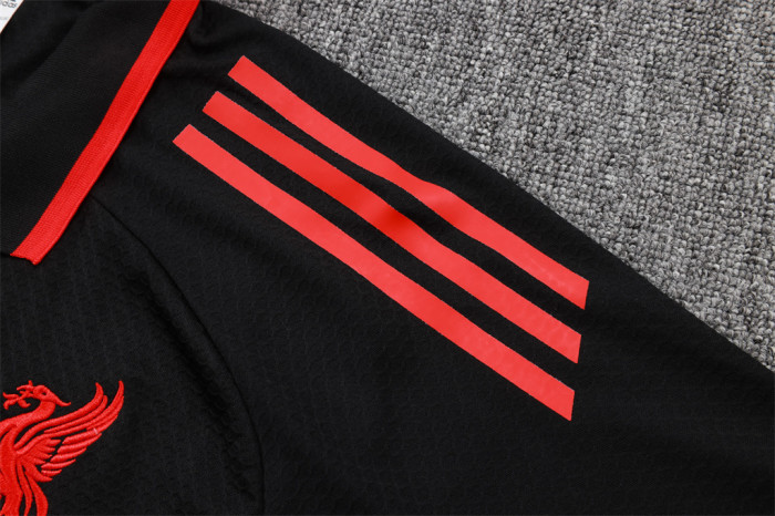 Liverpool POLO Jersey 25/26