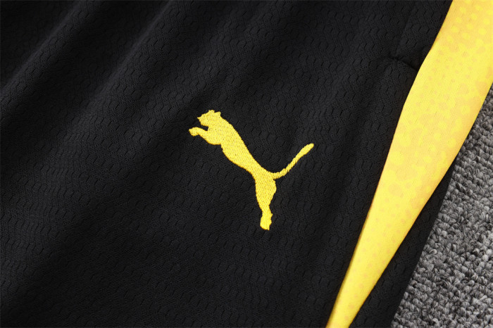 Borussia Dortmund Training Jersey Suit 25/26