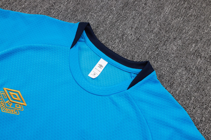 Gremio Training Short sleeve Jersey 25/26