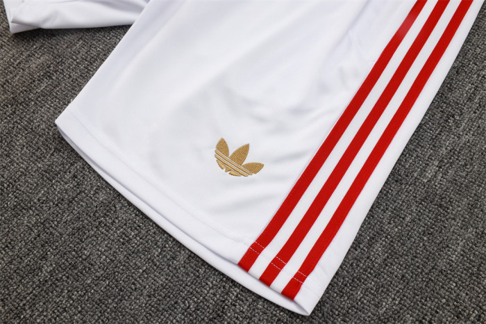 Bayern Munich Training Jersey 25/26