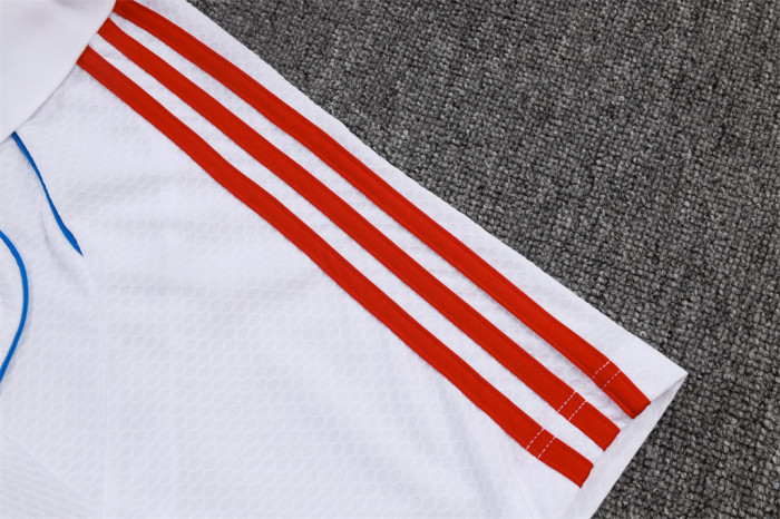 Bayern Munich POLO Jersey 25/26