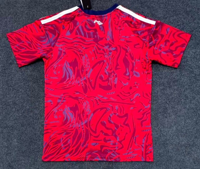 Costa Rica 2026 World Cup Home Men Jersey