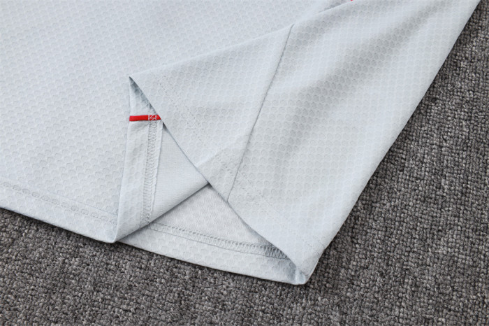 Bayern Munich POLO Jersey 25/26