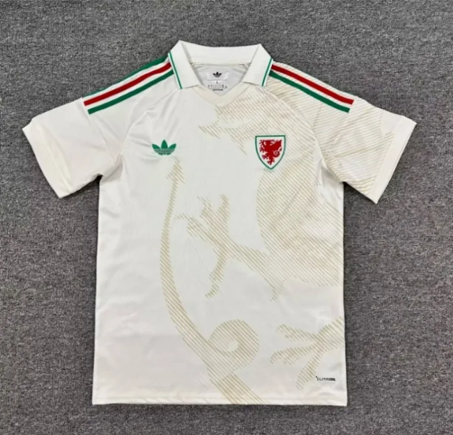 Wales 2026 World Cup Away Men Jersey