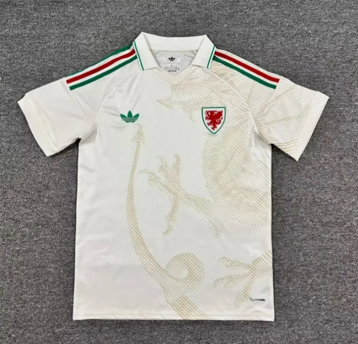 Wales 2026 World Cup Away Men Jersey