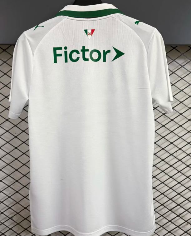Palmeiras Away Man Jersey 26/27
