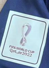 France World Cup Home Short Sleeves  Adult Suit 22/23