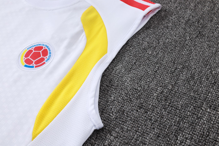 Colombia Training Jersey 26/27