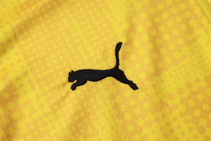 Borussia Dortmund Training Jersey Suit 25/26