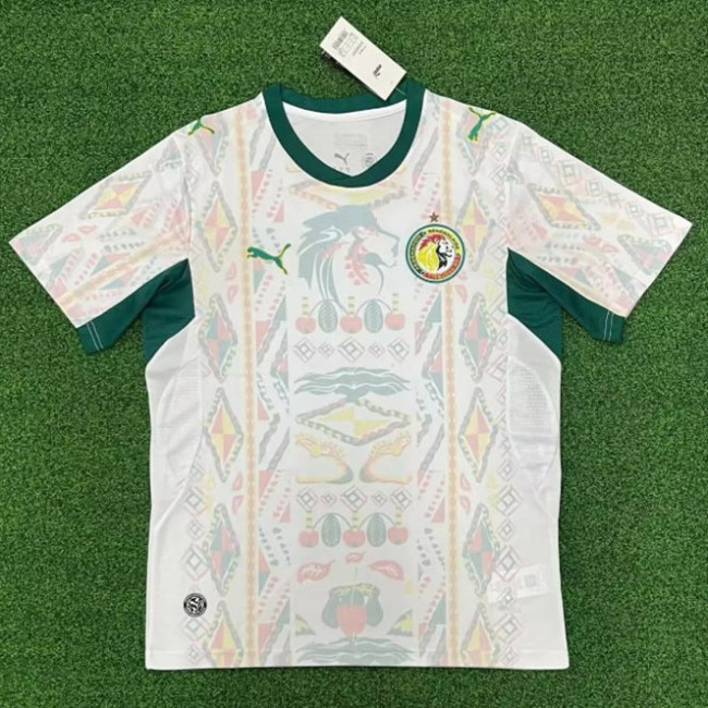 Senegal 2026 World Cup Home Men Jersey
