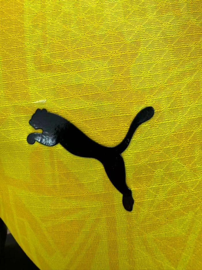 Borussia Dortmund Home Player Man Jersey 26/27