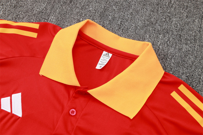 Bayern Munich POLO Jersey 24/25