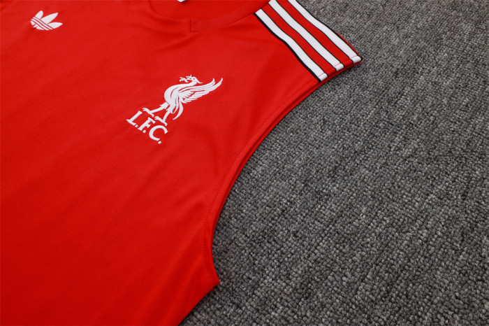 Liverpool Training Jersey 25/26
