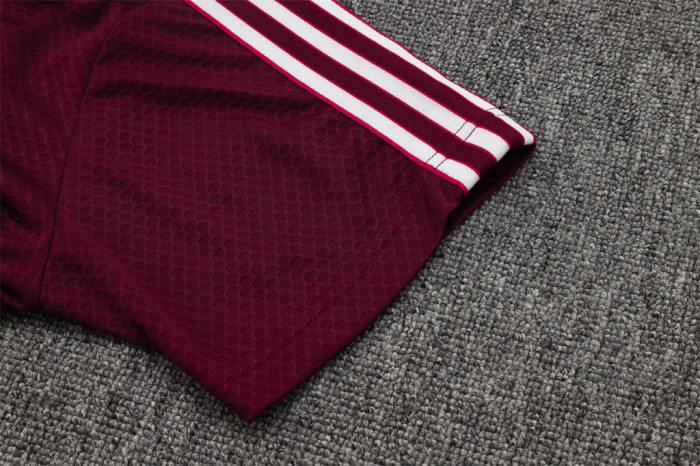 Bayern Munich POLO Jersey 25/26