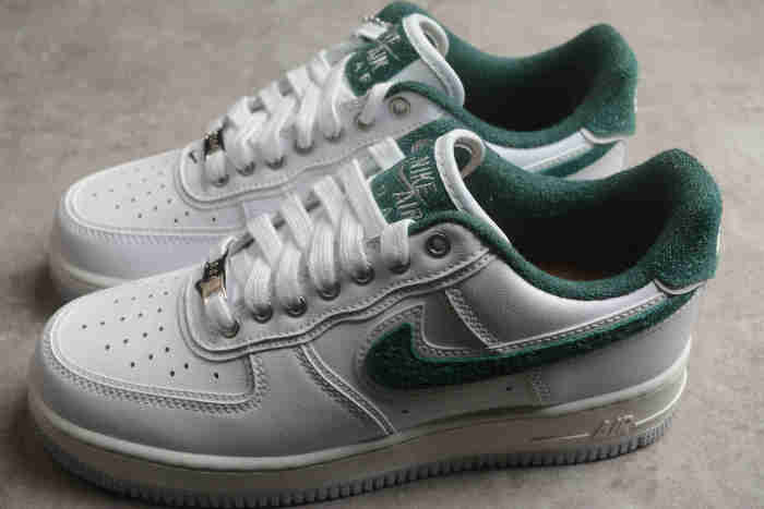 Air Force 1 Low Ducks of a Feather Division Street