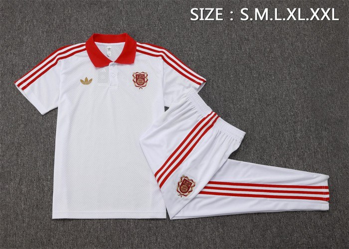 Bayern Munich POLO Jersey 25/26