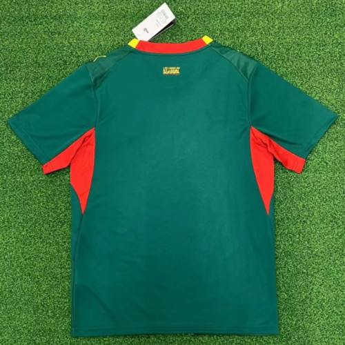 Senegal 2026 World Cup Away Men Jersey