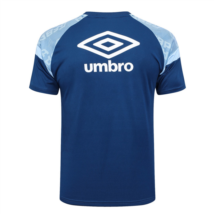 Gremio Training Jersey 23/24
