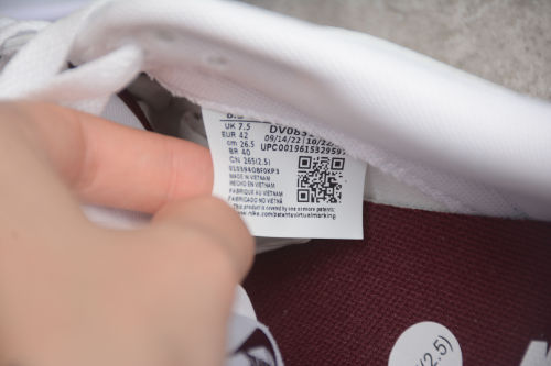 SB Dunk Low Night Maroon DV0831-102