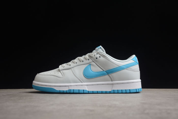 SB Dunk Low Grey/Blue DV0831-001