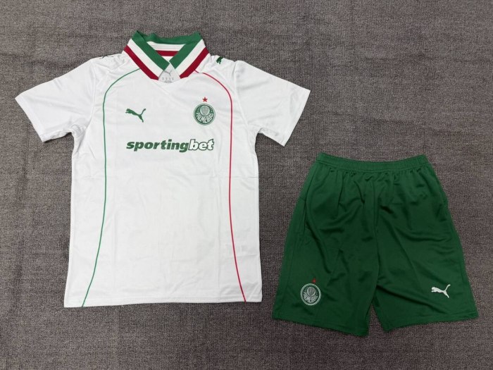 Palmeiras Away Kids Suit 26/27