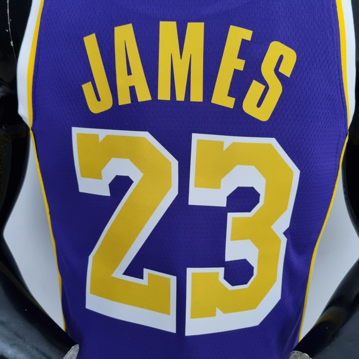 LeBron James Los Angeles Lakers 75th Anniversary Swingman Jersey Purple